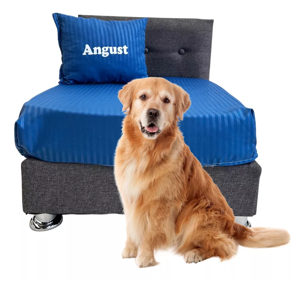 Cama Tapizada Grande Briccopet Con Colchón Para Perro