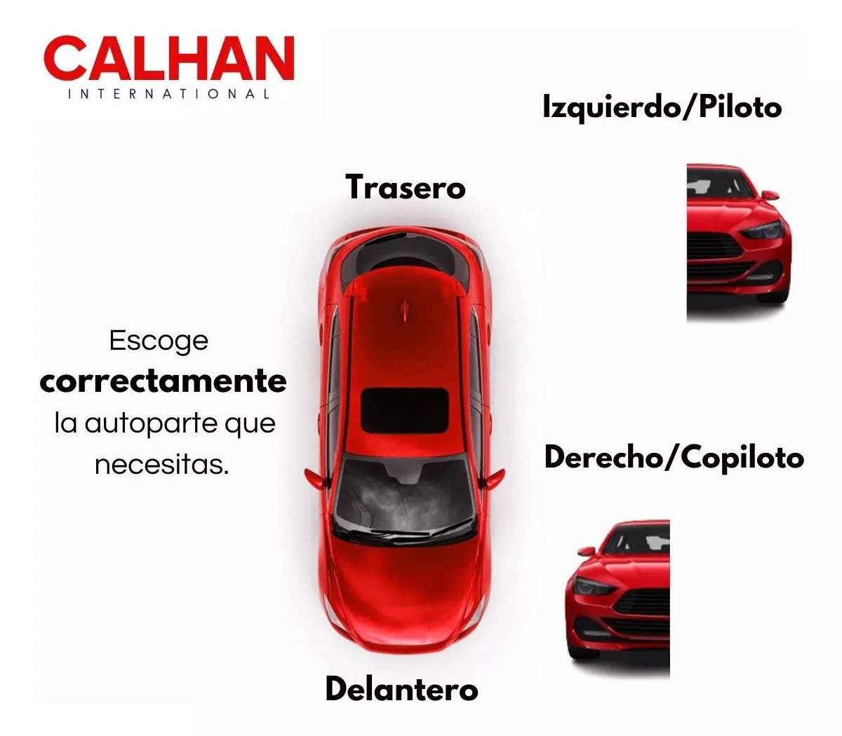 Calavera Versa 2012 2013 2014 2015 2016 2017 2019