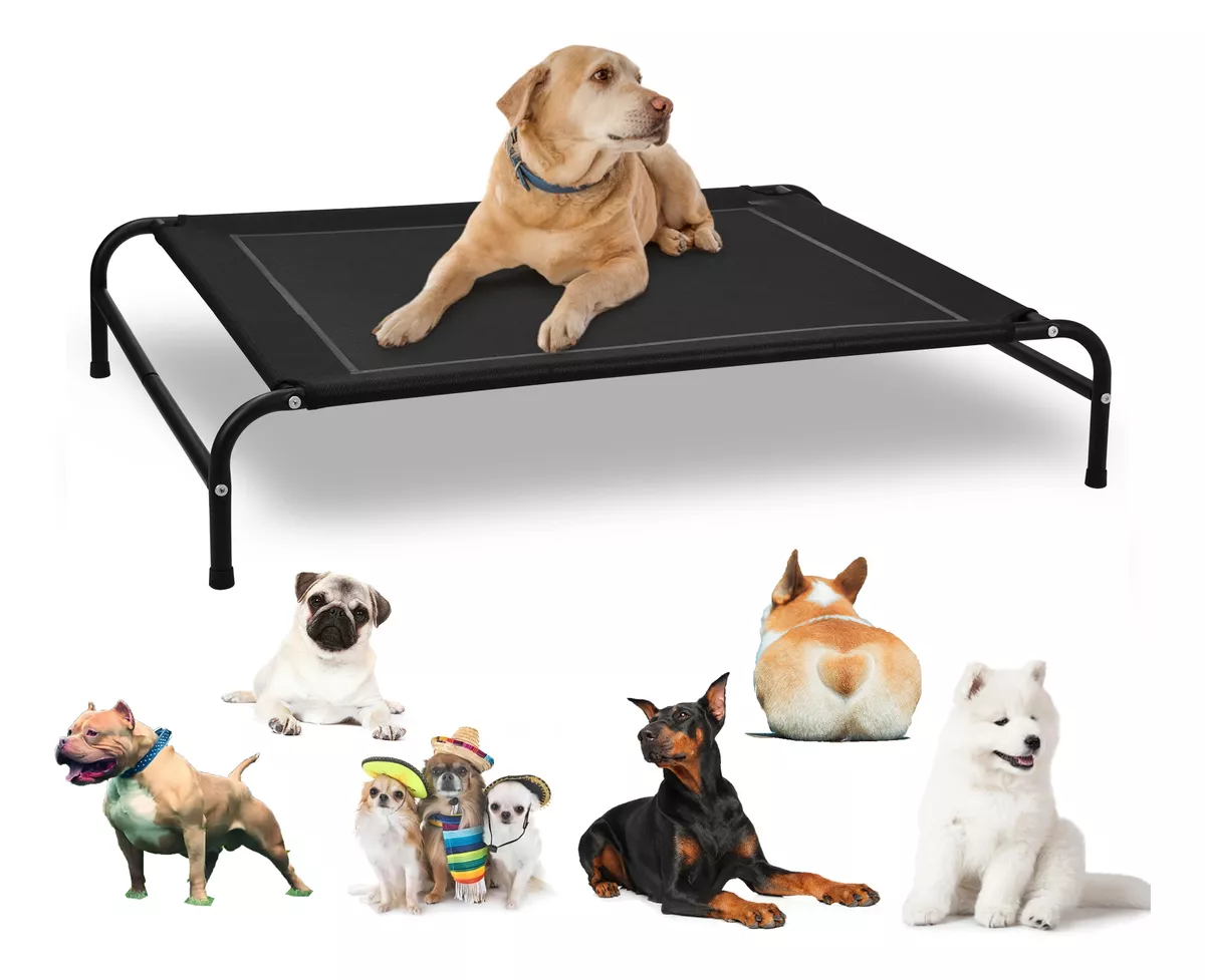 Cama Elevada Para Perros Refuerzo Para Mascotas Grandes L