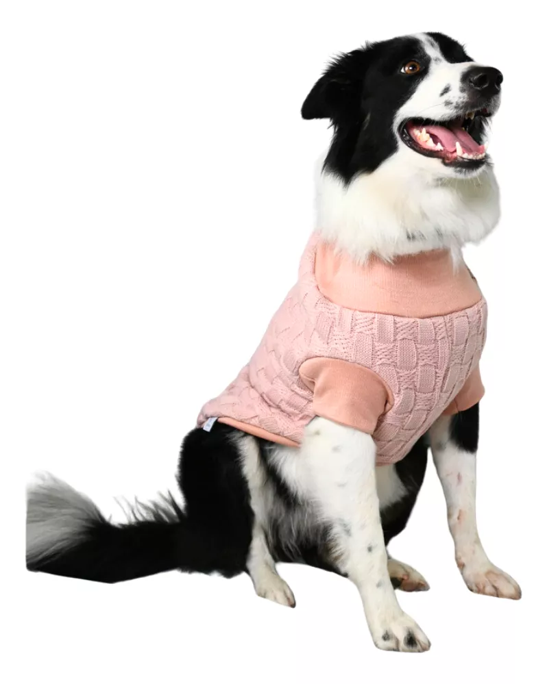 Ropa Suéter Tejido Sudadera Perro G/xg Doble Forro *zooeters