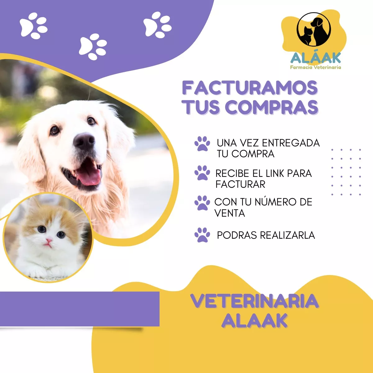 Proteliv 21 Comprimidos Holliday Protector Hepático