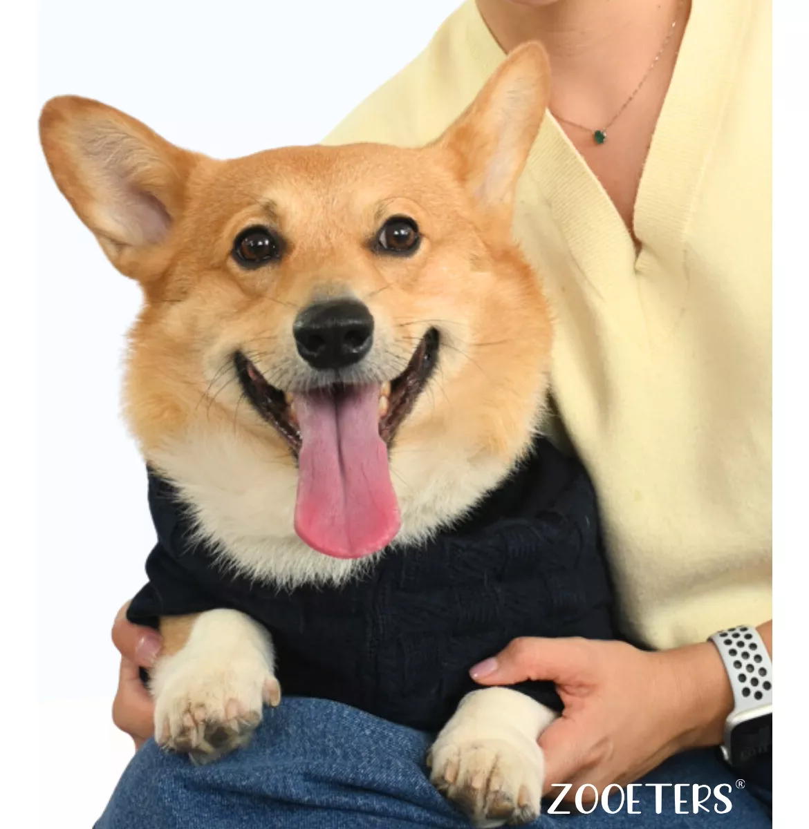 Ropa Suéter Tejido Sudadera Perro G/xg Doble Forro *zooeters