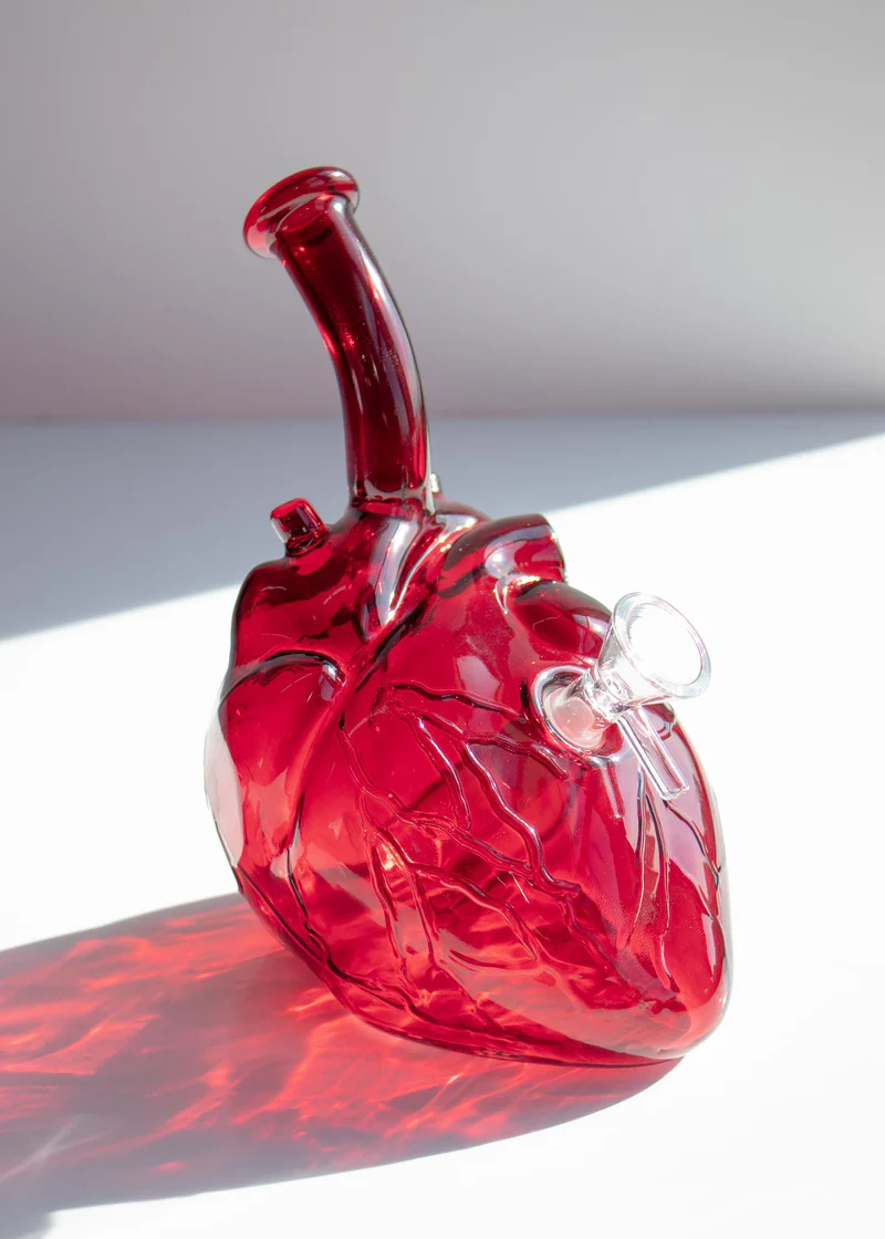 Anatomy Heart Bong