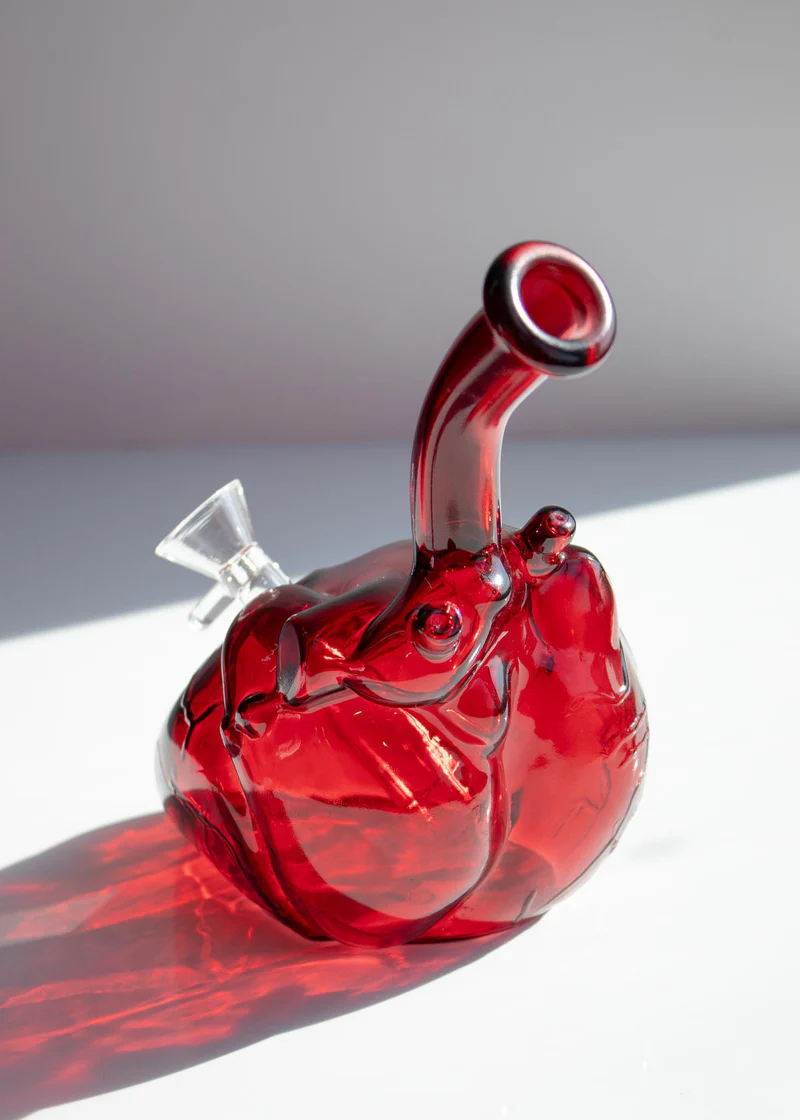 Anatomy Heart Bong