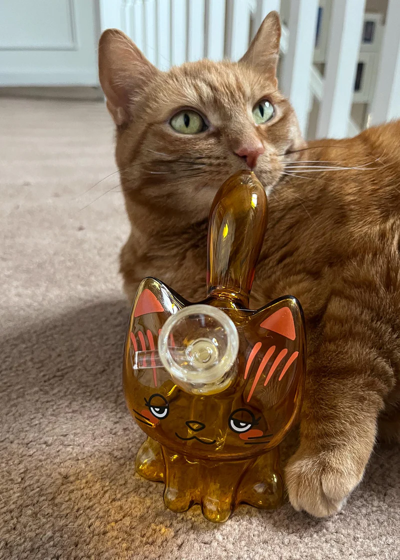 Cannabis Cat Sparkling Water Machine