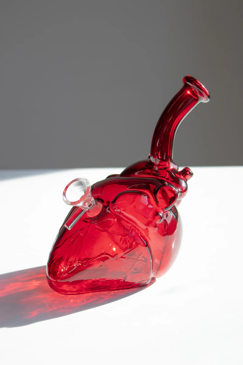 Anatomy Heart Bong