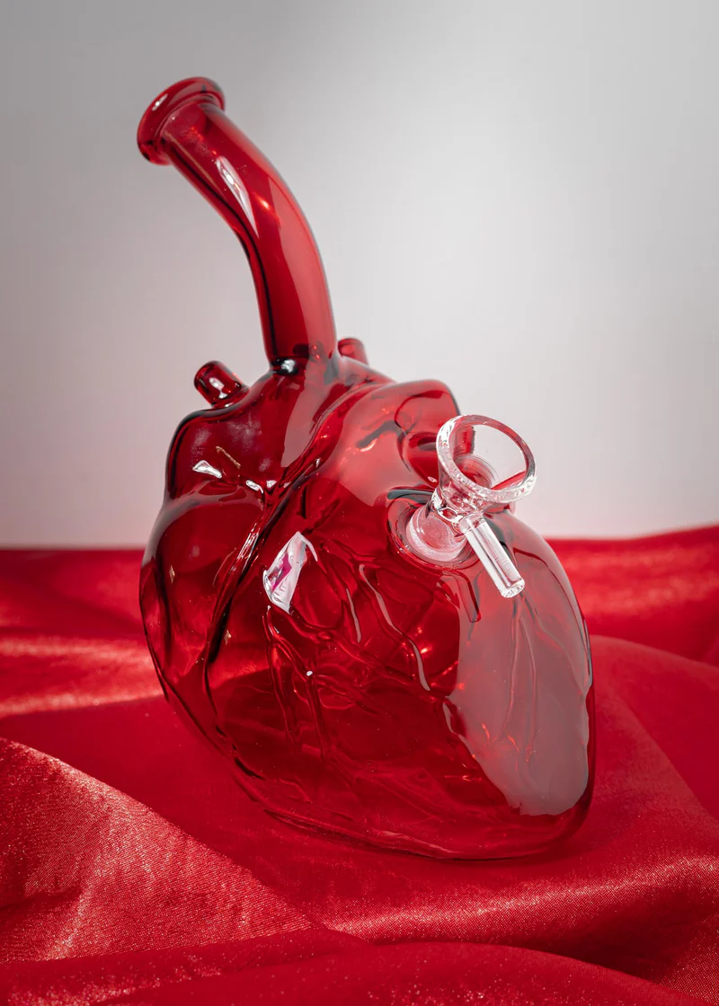 Anatomy Heart Bong