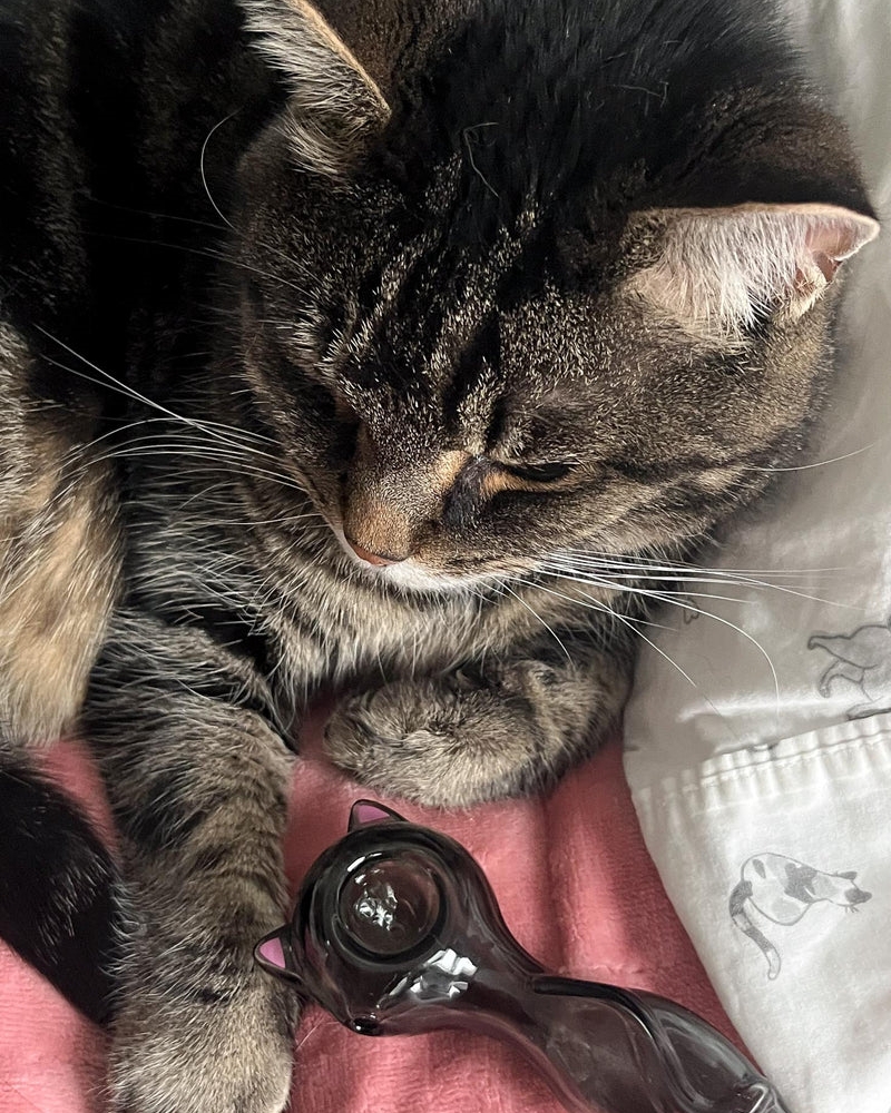 Cute Cat Glass Handle