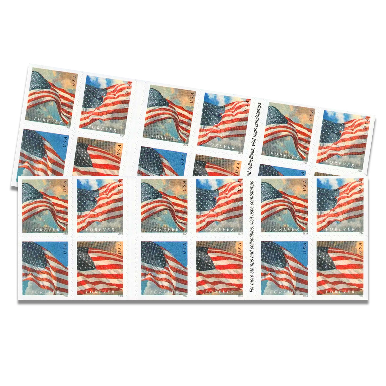 U.S. Flags 2024