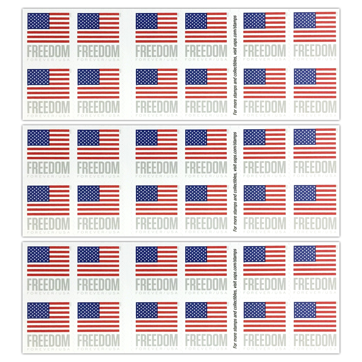 U.S. Flag 2023