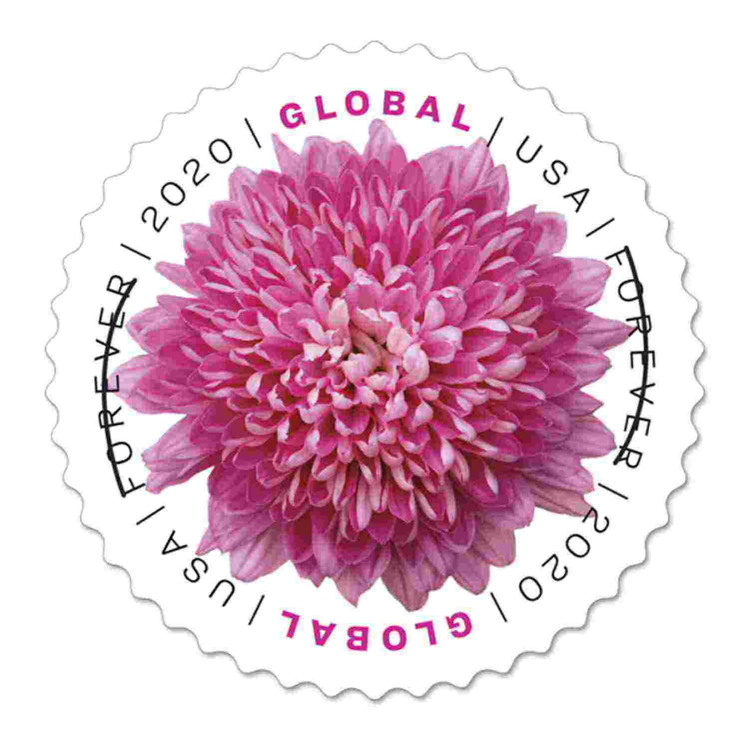 Global 2020 Forever international U.S.