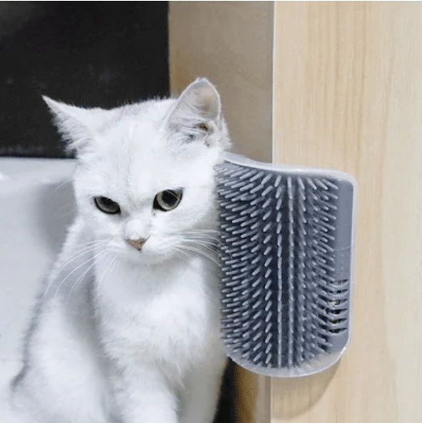 (Summer Hot Sale Now-48% OFF)Cat Self Grooming Massage Toy Brush-BUY 3 GET EXTRA 15% OFF & FREE SHIPPING