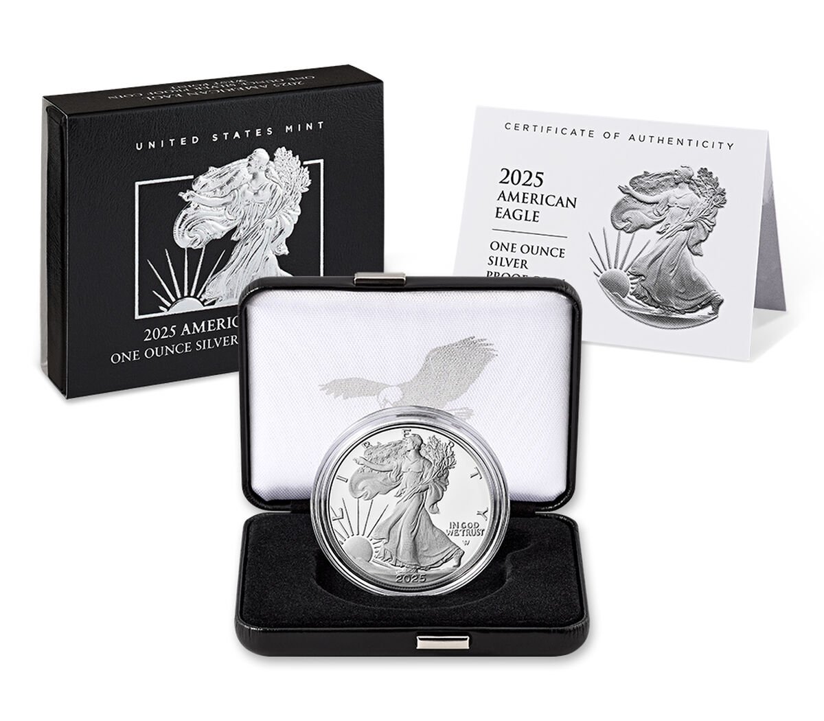 🔥LAST DAY SPECIAL SALE 70% OFF🔥 American Eagle 2025 One Ounce Silver Proof Coin