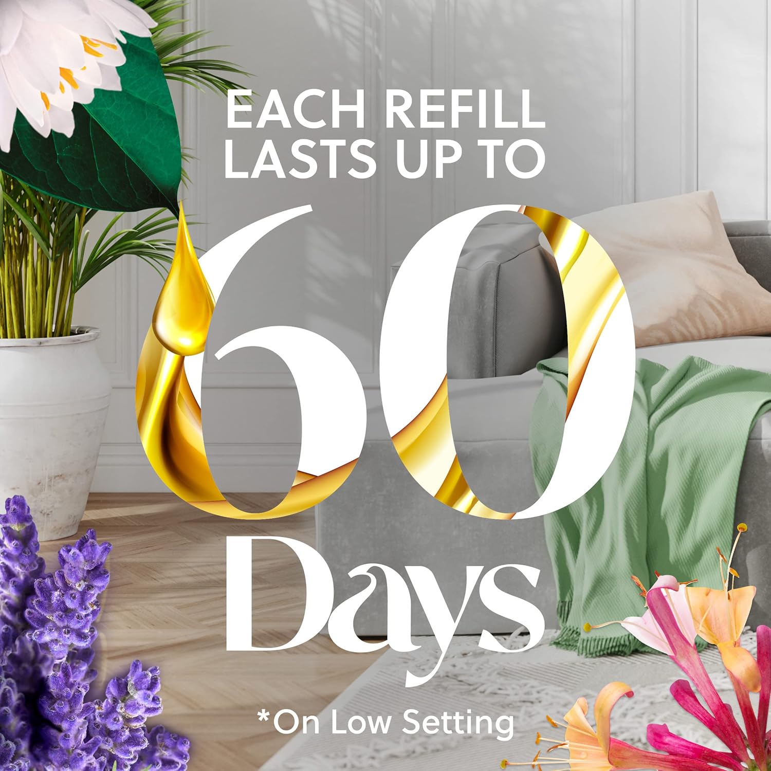 Air Wick Plug in Scented Oil Refill, 5 ct, Sandalwood , Air Freshener, Essential Oils