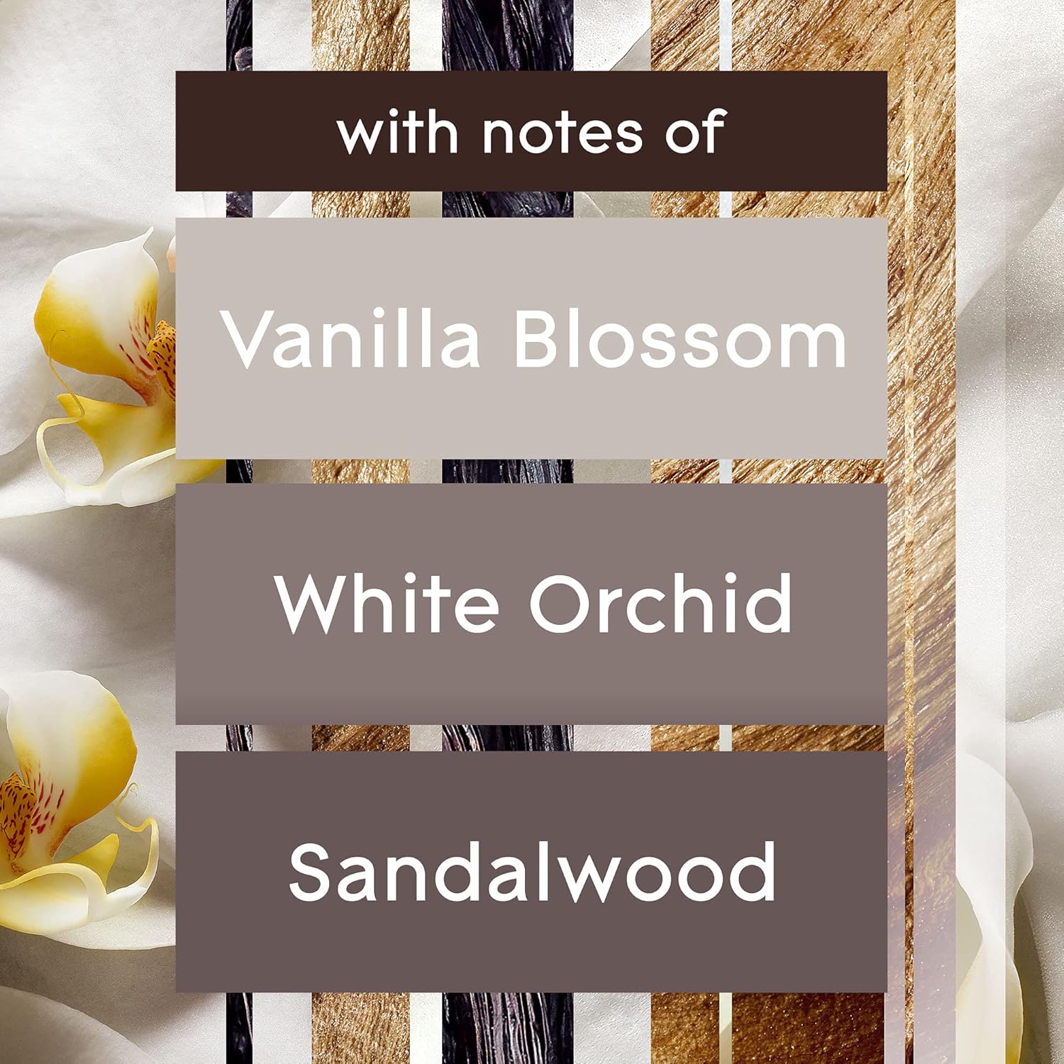 Glade PlugIns Refills Air Freshener, Scented and Essential Oils for Home and Bathroom, Apple Cinnamon, 3.35 Fl Oz, 5 Count