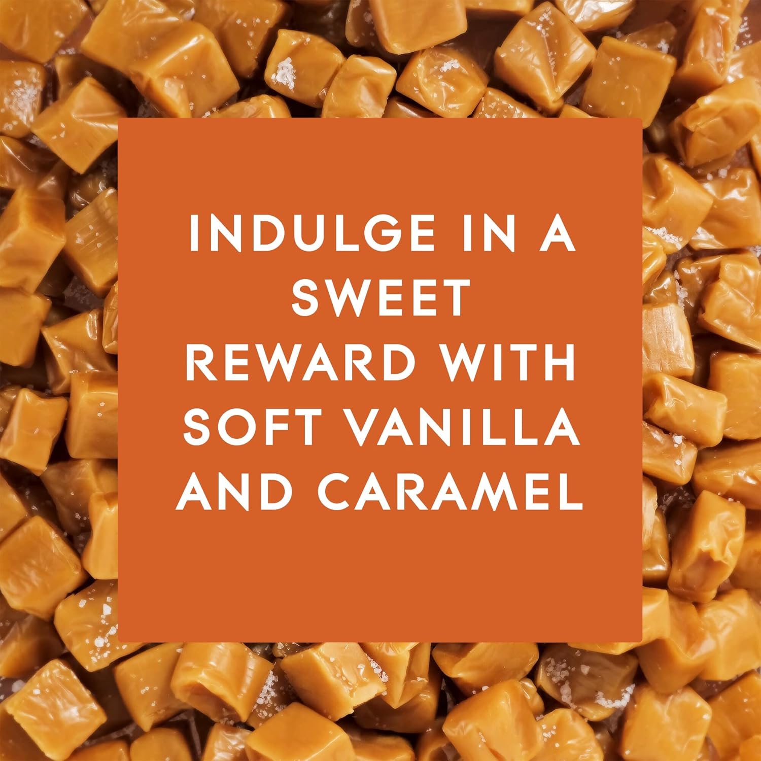 Glade PlugIns Refills Air Freshener, Scented and Essential Oils for Home and Bathroom, Apple Cinnamon, 3.35 Fl Oz, 5 Count