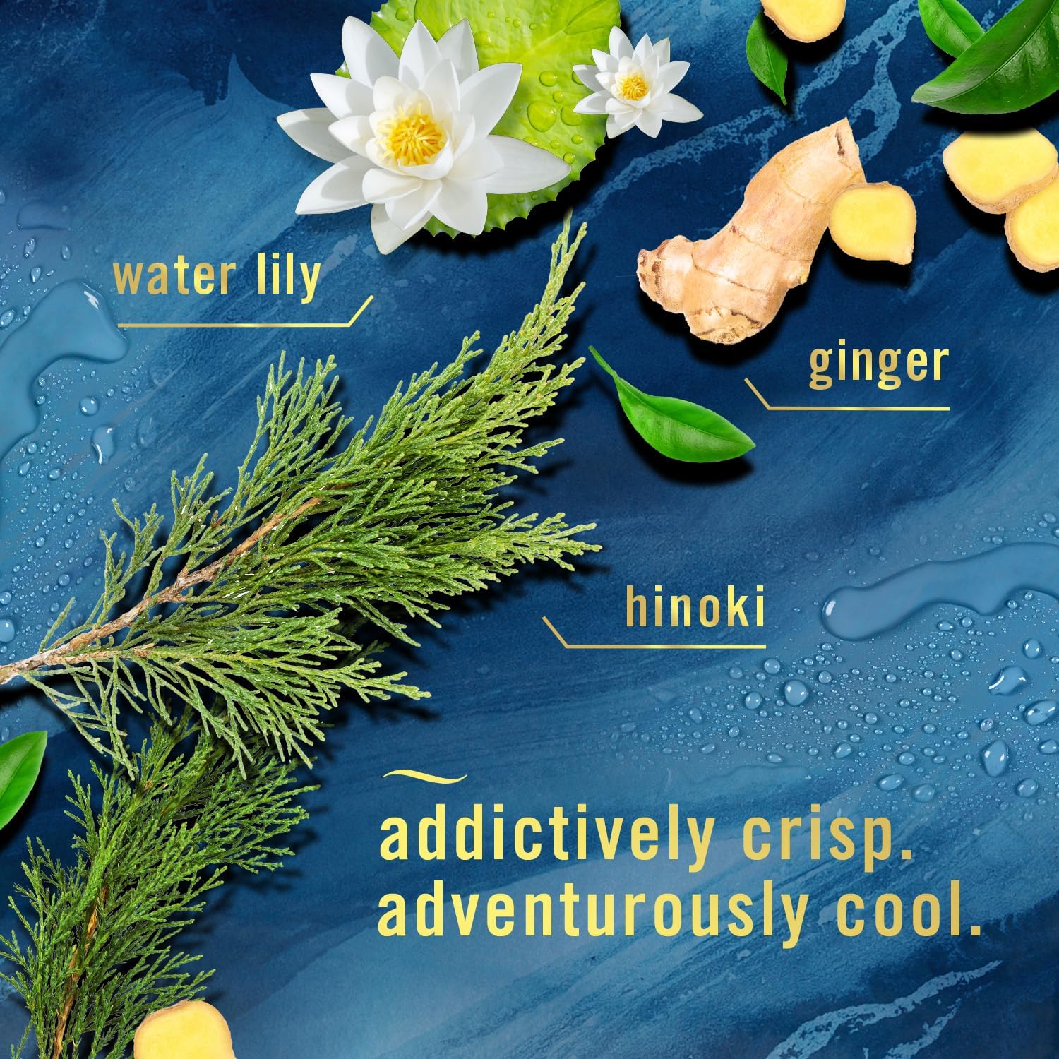 Febreze Plug in Air Fresheners for Home, Air Freshener Plug in, Wall Diffuser, Ocean Scent, Odor Fighter for Strong Odors, 1 Warmer + 2 Oil Refills