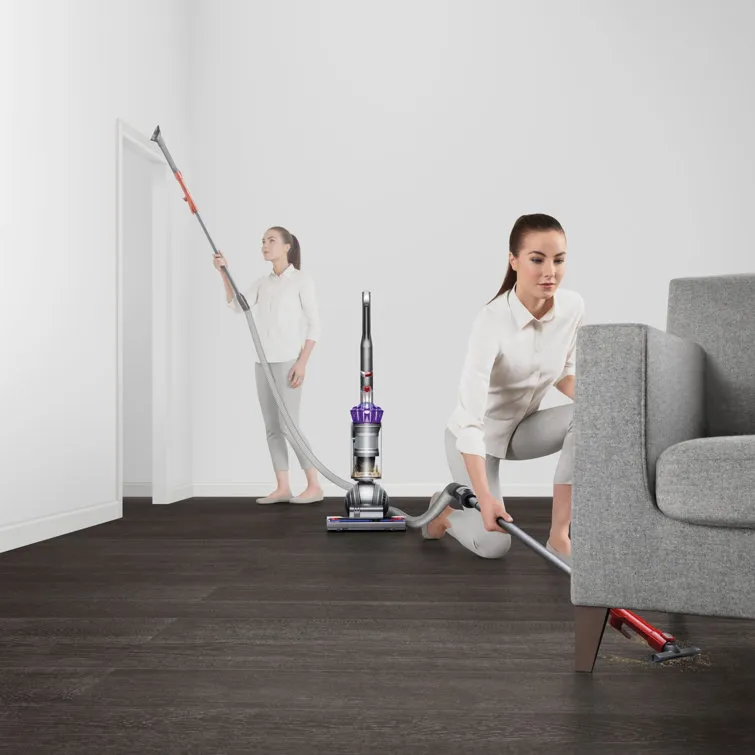 DS Ball Animal Upright Vacuum Cleaner