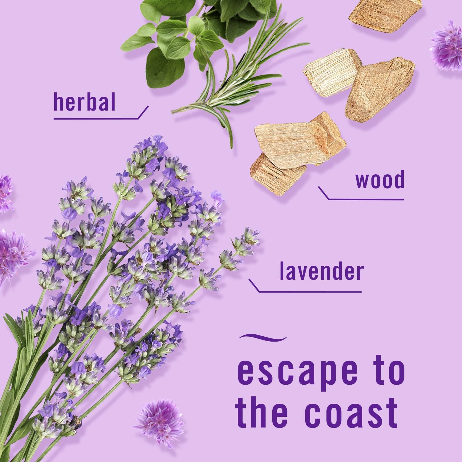 Febreze Plug in Air Fresheners for Home, Air Freshener Plug in, Wall Diffuser, Ocean Scent, Odor Fighter for Strong Odors, 1 Warmer + 2 Oil Refills