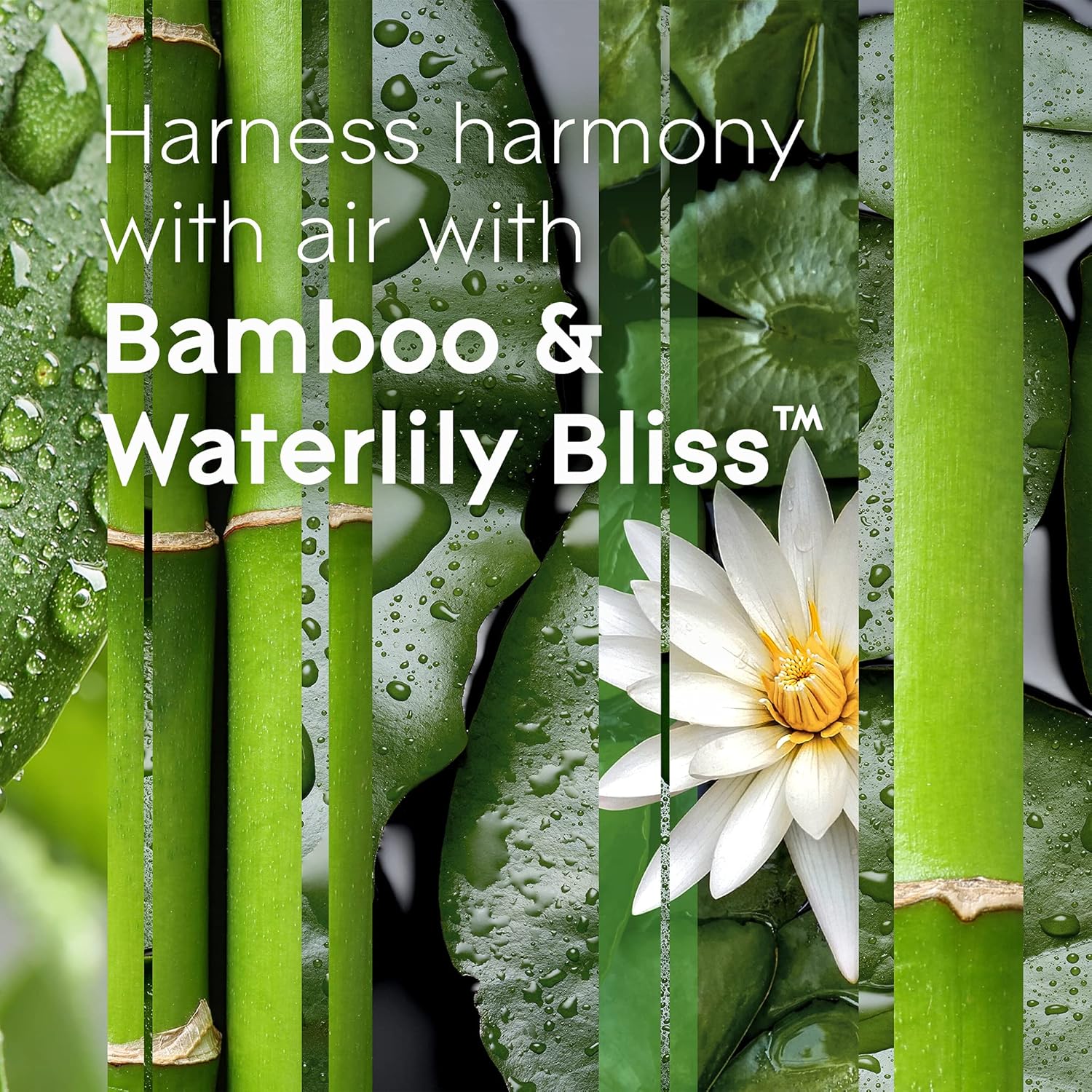 Glade PlugIns Refills Air Freshener, Scented and Essential Oils for Home and Bathroom, Apple Cinnamon, 3.35 Fl Oz, 5 Count