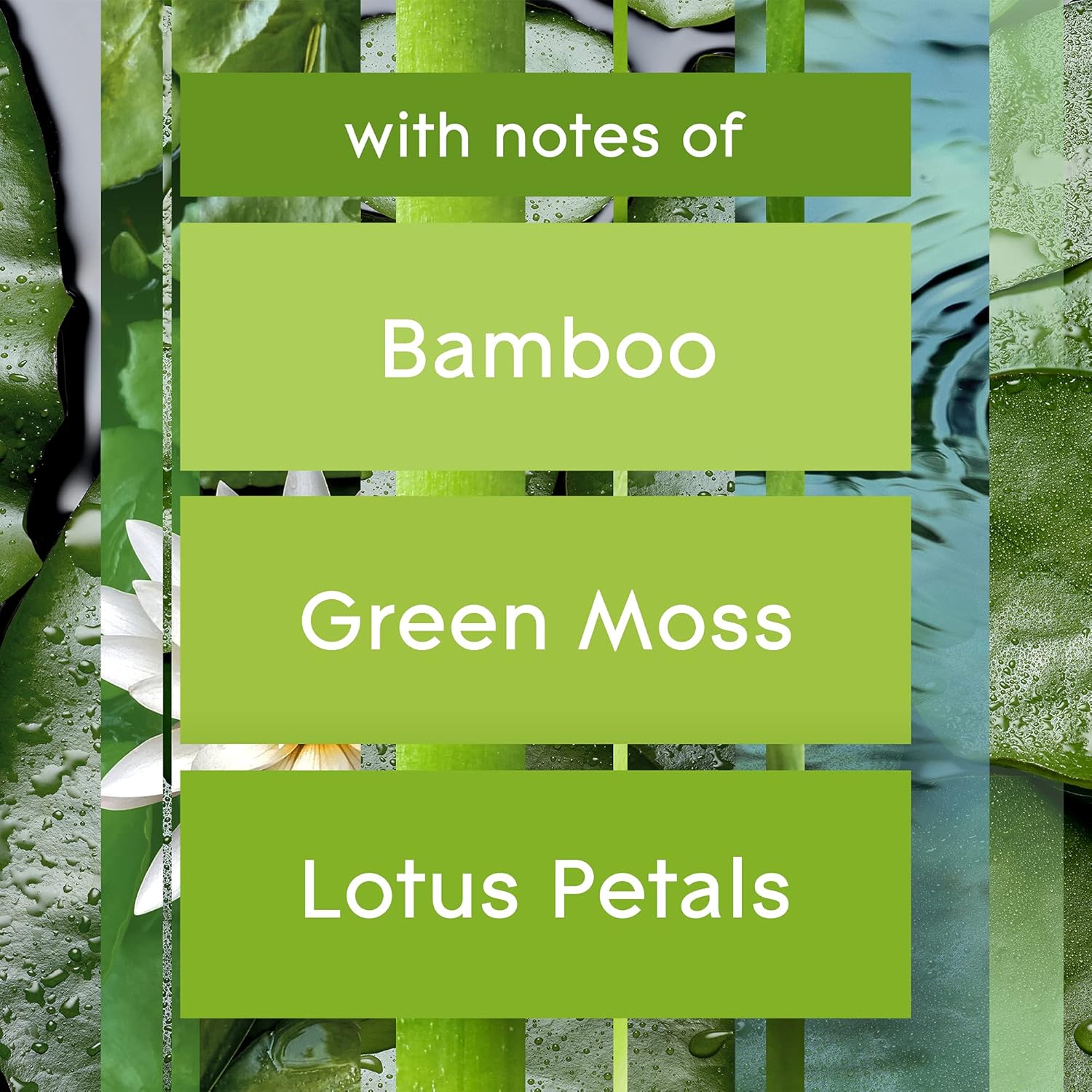 Glade PlugIns Refills Air Freshener, Scented and Essential Oils for Home and Bathroom, Apple Cinnamon, 3.35 Fl Oz, 5 Count