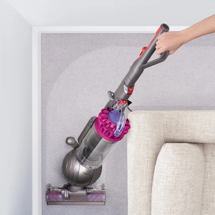 DS Ball Animal Upright Vacuum Cleaner