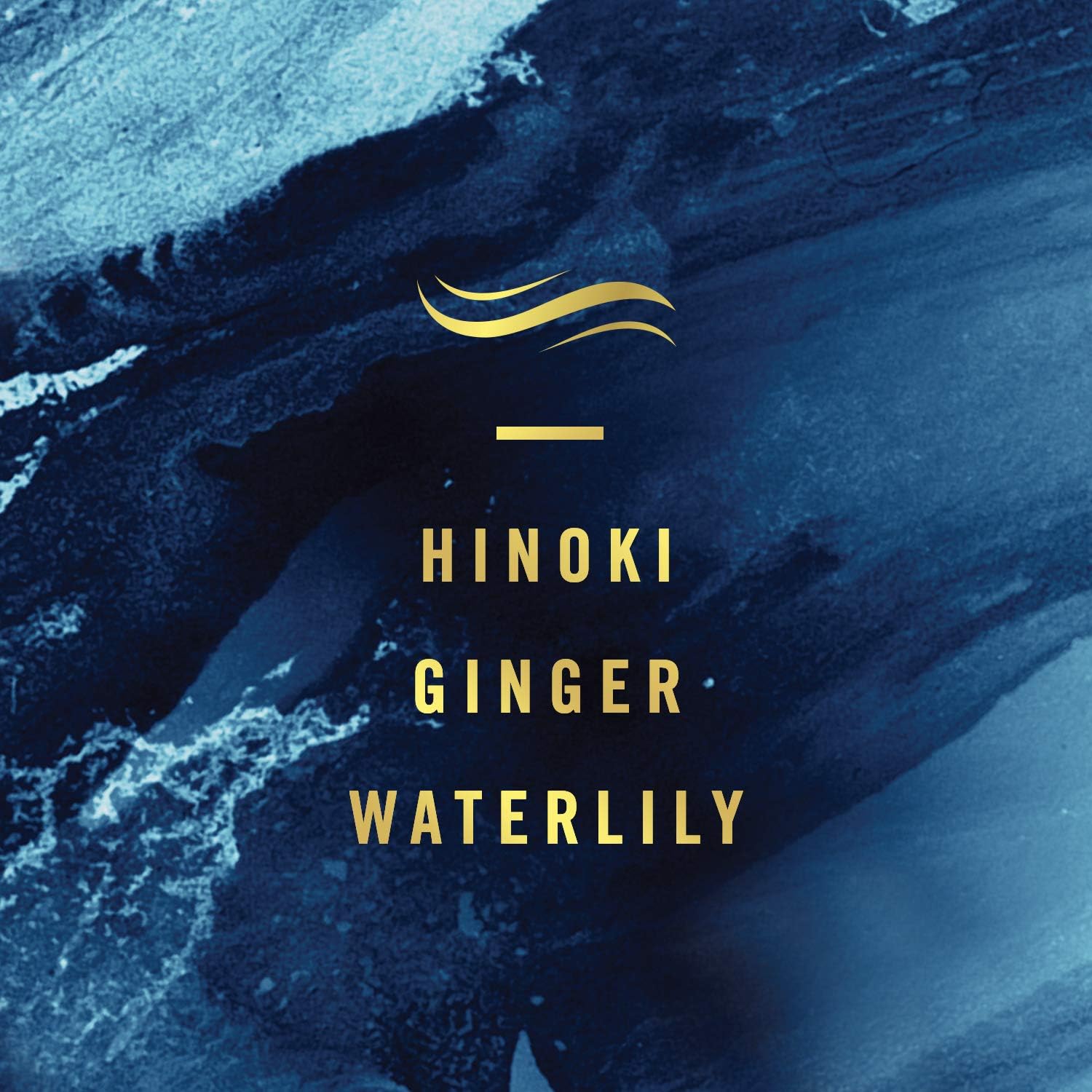 Febreze Plug in Air Fresheners for Home, Air Freshener Plug in, Wall Diffuser, Ocean Scent, Odor Fighter for Strong Odors, 1 Warmer + 2 Oil Refills