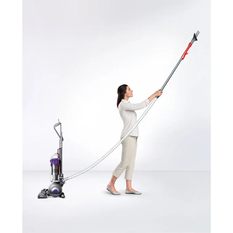 DS Ball Animal Upright Vacuum Cleaner