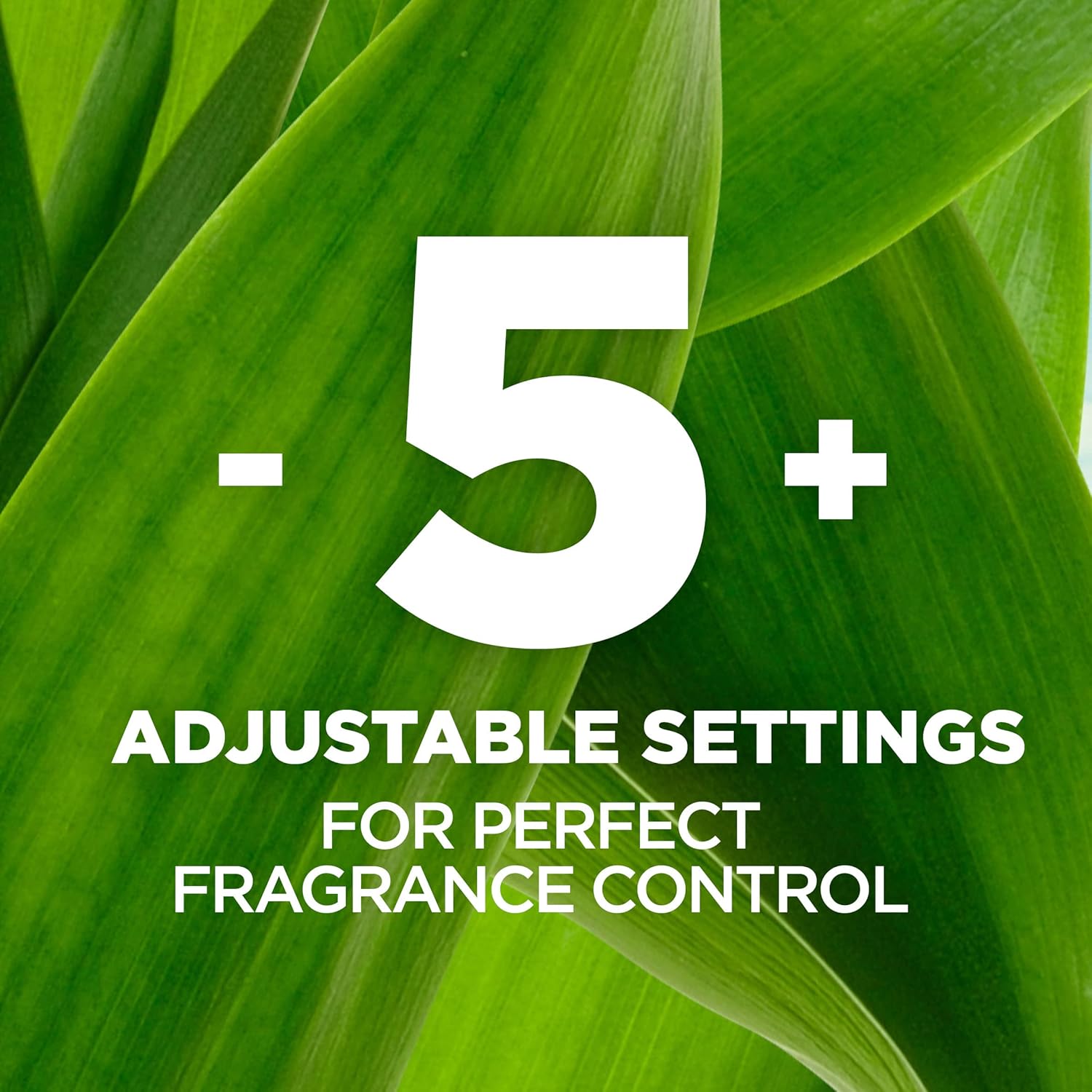 Air Wick Plug in Scented Oil Refill, 5 ct, Sandalwood , Air Freshener, Essential Oils