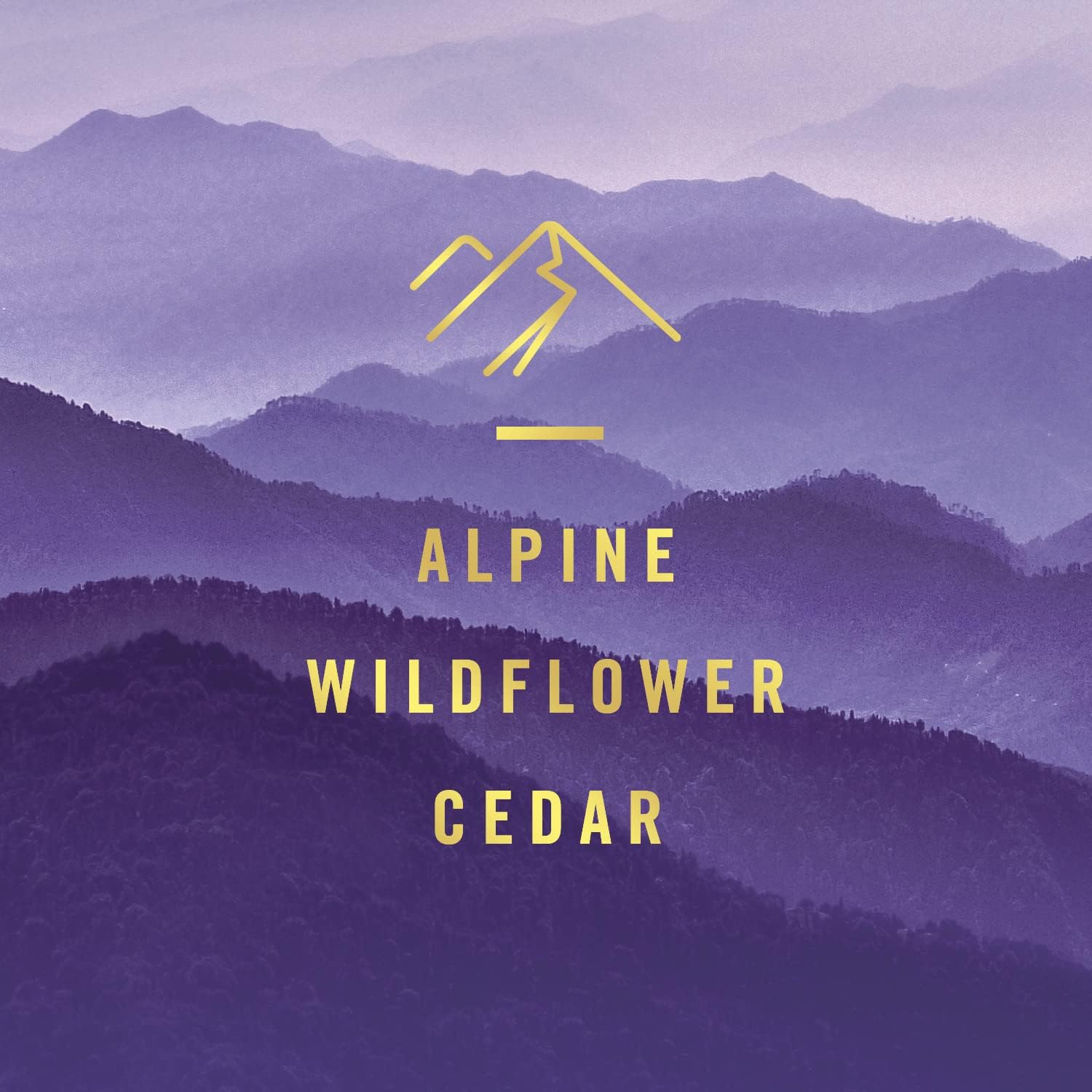 Febreze Plug in Air Fresheners for Home, Air Freshener Plug in, Wall Diffuser, Ocean Scent, Odor Fighter for Strong Odors, 1 Warmer + 2 Oil Refills