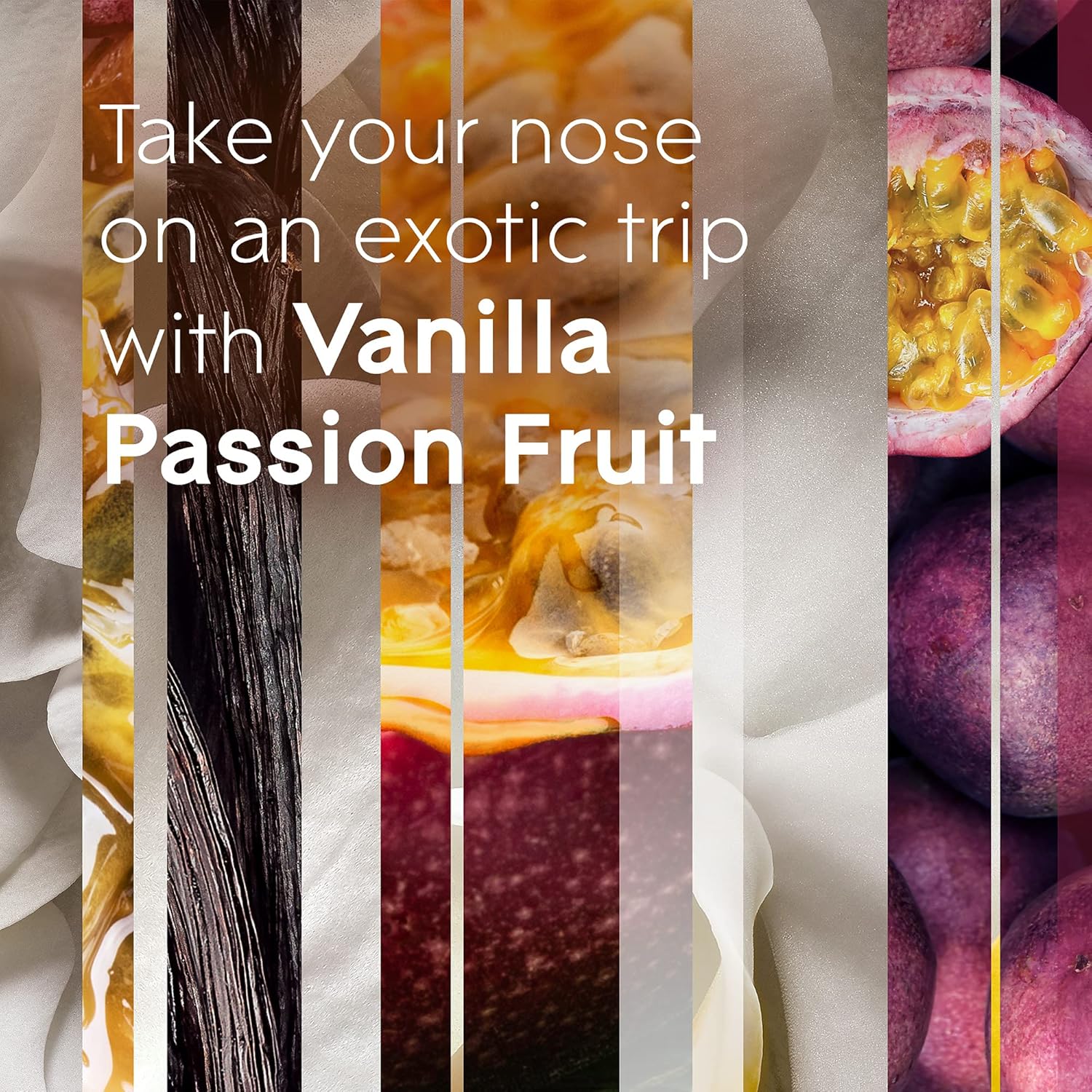 Glade PlugIns Refills Air Freshener, Scented and Essential Oils for Home and Bathroom, Apple Cinnamon, 3.35 Fl Oz, 5 Count