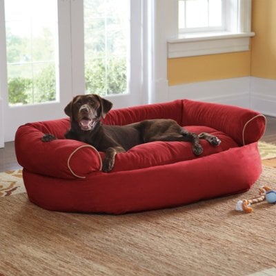 [LAST DAY - 75% OFF]💥 Sofa Dog Bed 2024