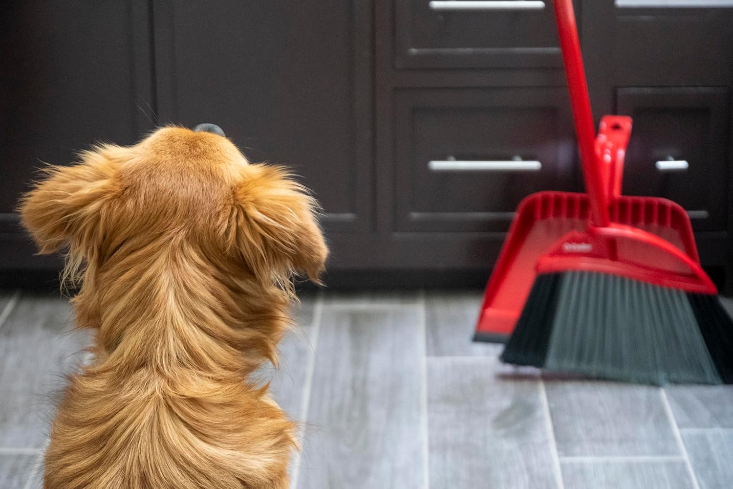 O-Cedar One Sweep Broom with Step-On Dustpan | Remove 99% with One Sweep | Lightweight Quiet Cleaning Tool | Ideal for Pet Owners