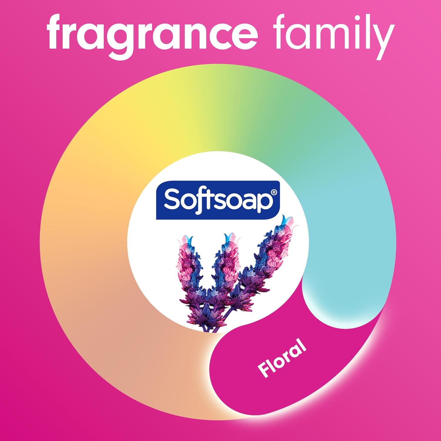 Softsoap Antibacterial Liquid Hand Soap, Fresh Citrus Scent Hand Soap, 11.25 Ounce, 6 Pack