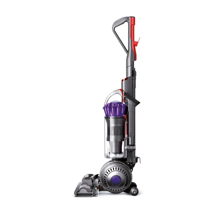 DS Ball Animal Upright Vacuum Cleaner