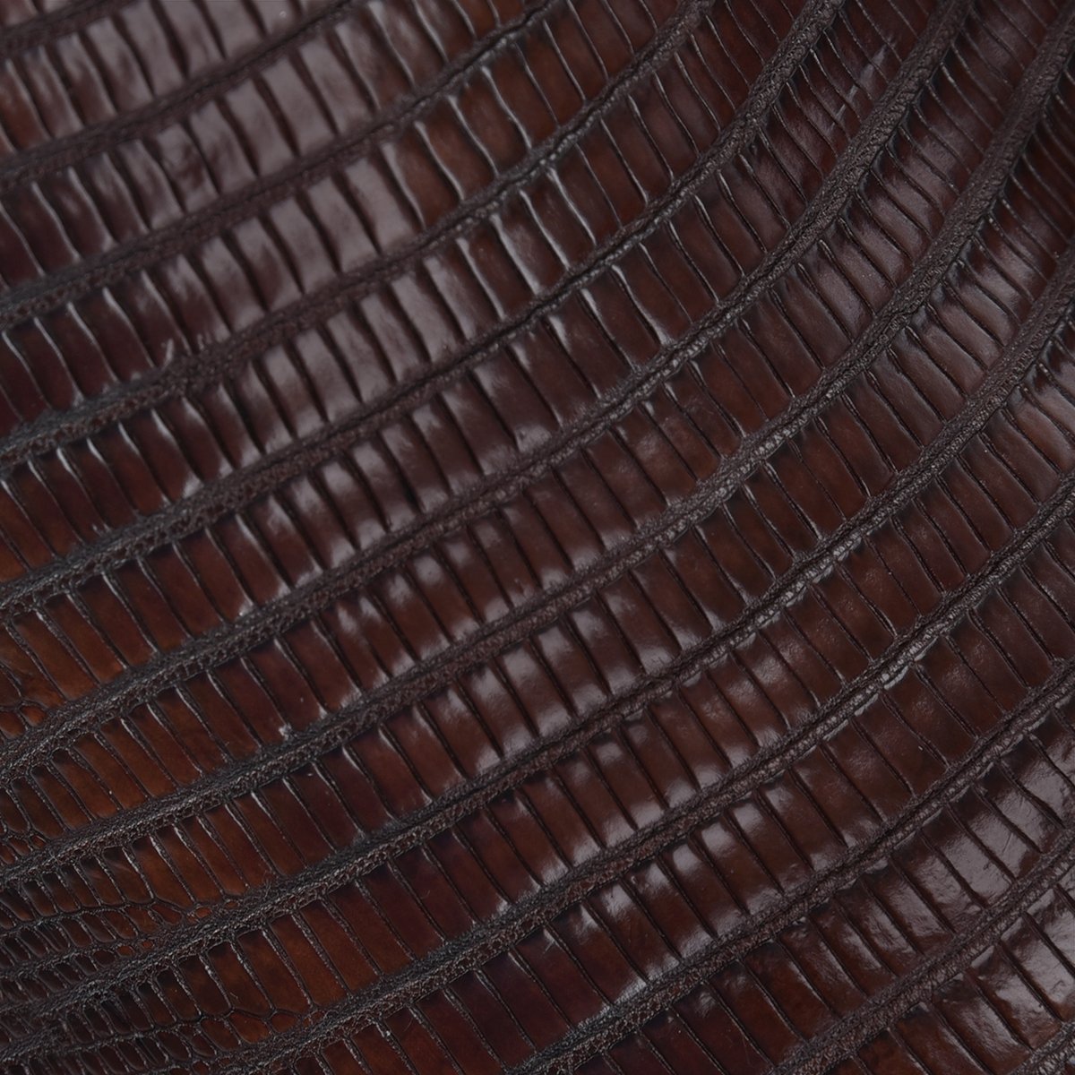 Bota vaquera en piel de lizard.