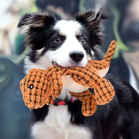 Miniyou™  Indestructible Dog Toys