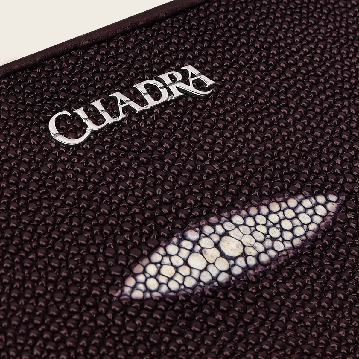 Documentera en piel de mantarraya.