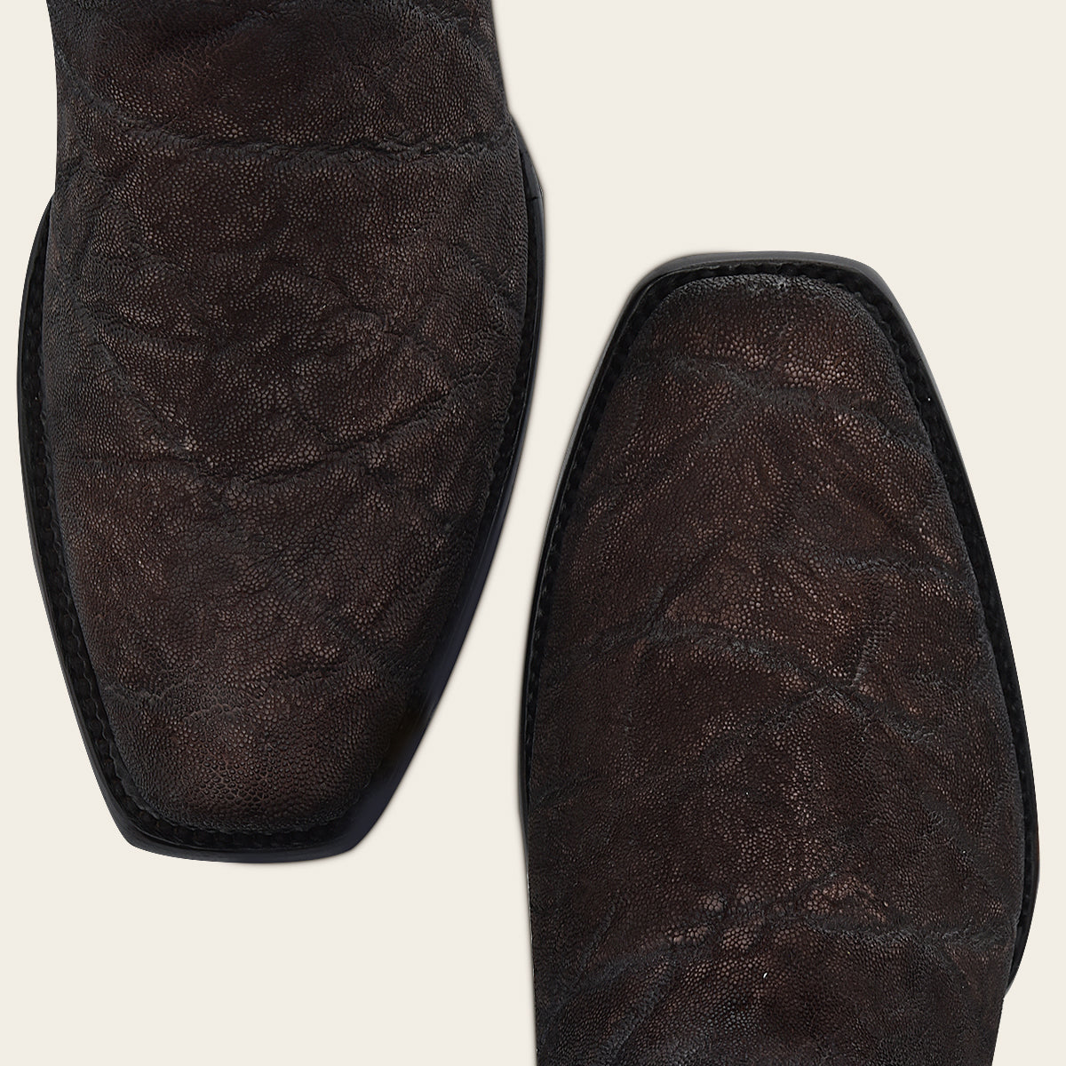 Cuadra Imperio Elefante Edición Especial 2023