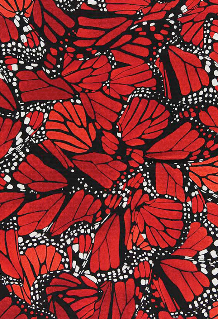 Chalina Doble Vista Mariposa Macro