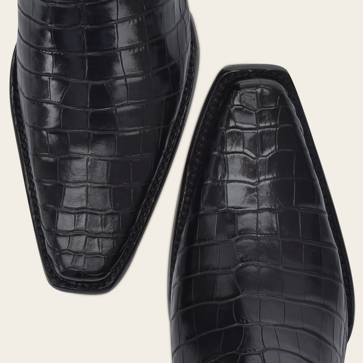 Cuadra Imperio Alligator Edición Especial 2023