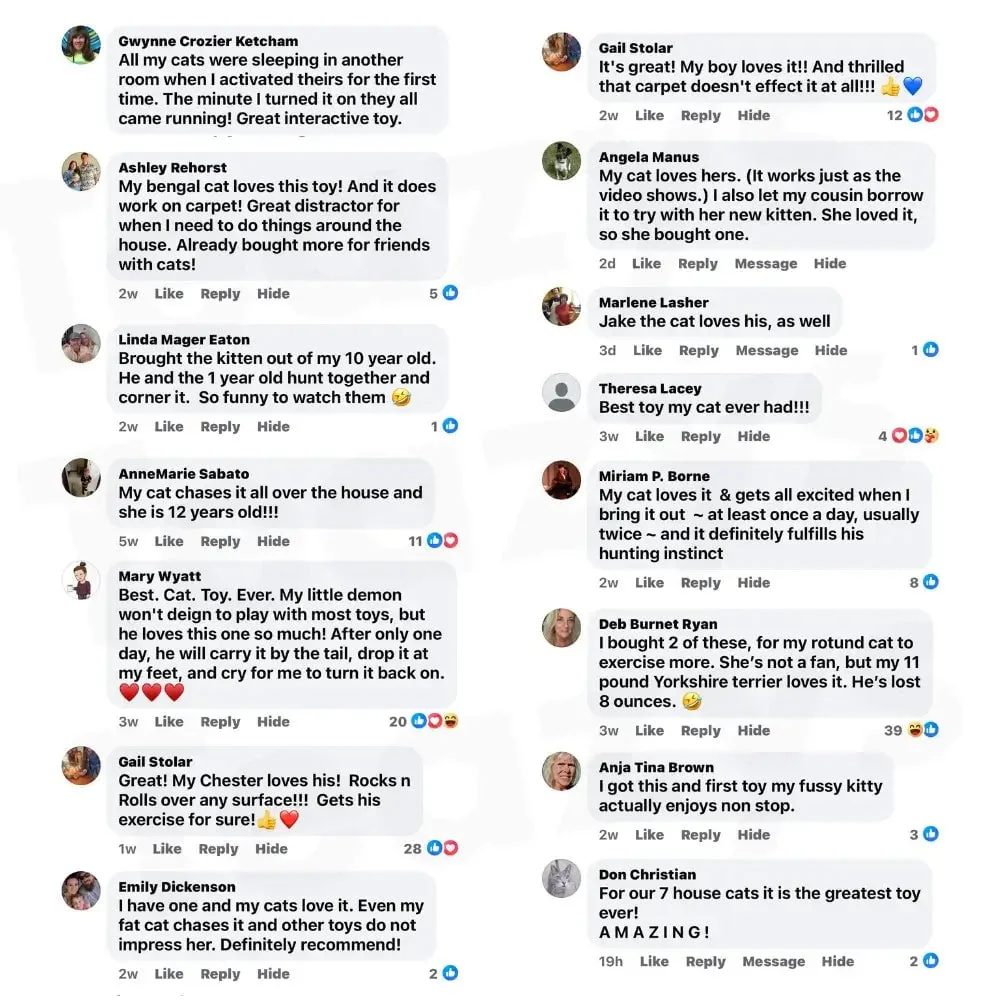 🔥Last Day 70% OFF - SPEEDY  TAIL 2.0 (Buy 2 Get 1 Free)