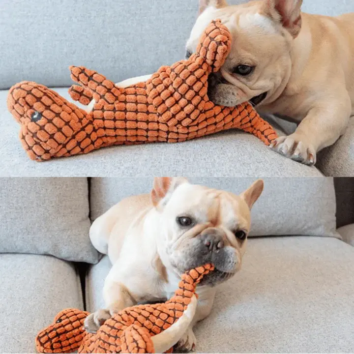 Miniyou™  Indestructible Dog Toys