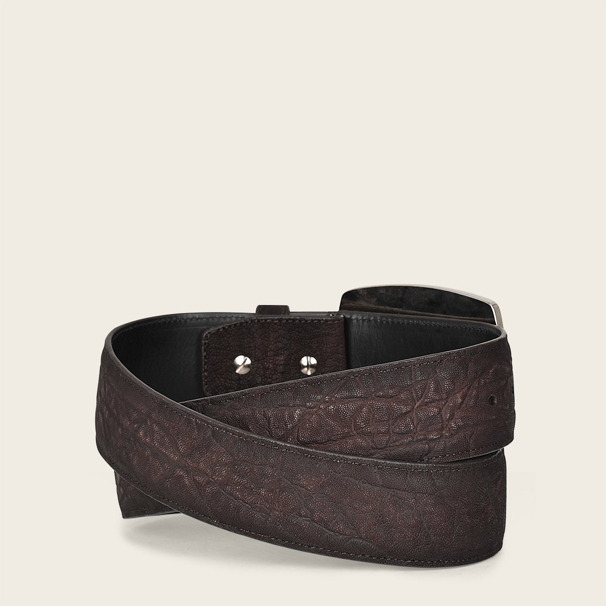 Cuadra Imperio Elefante Edición Especial 2023