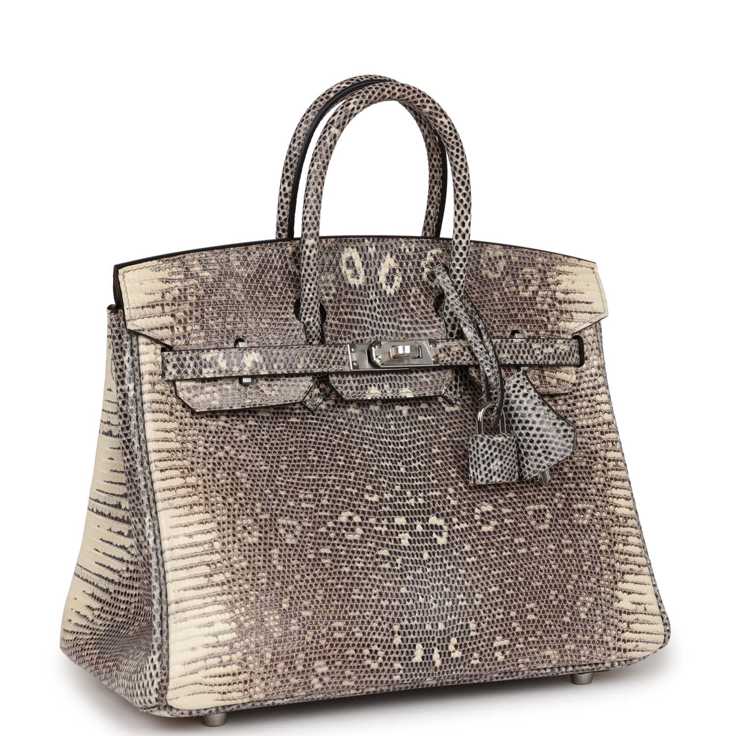 Her Birkin 25 Ombre Shiny Salvator Lizard Palladium Hardware