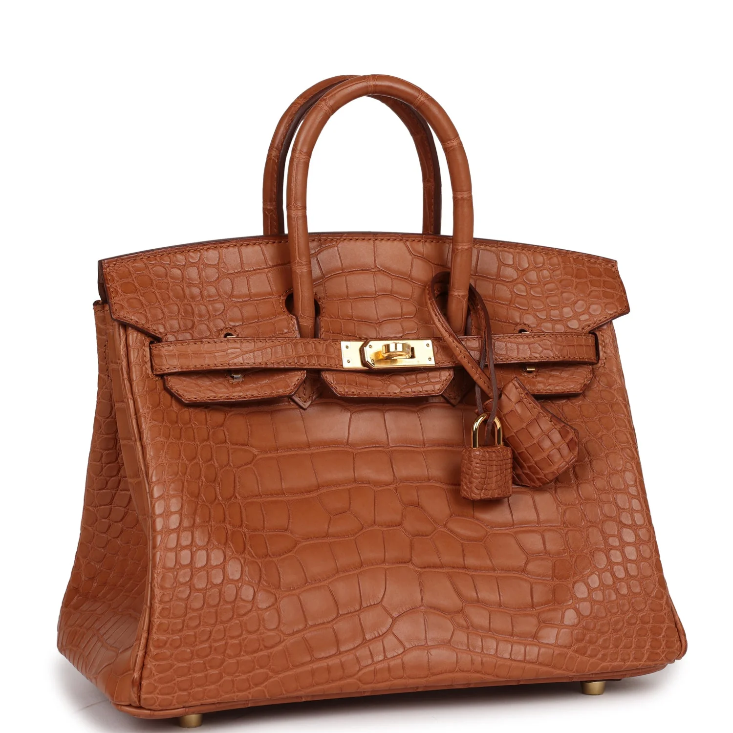 Her Birkin 25 Gold Matte Alligator Gold Hardware