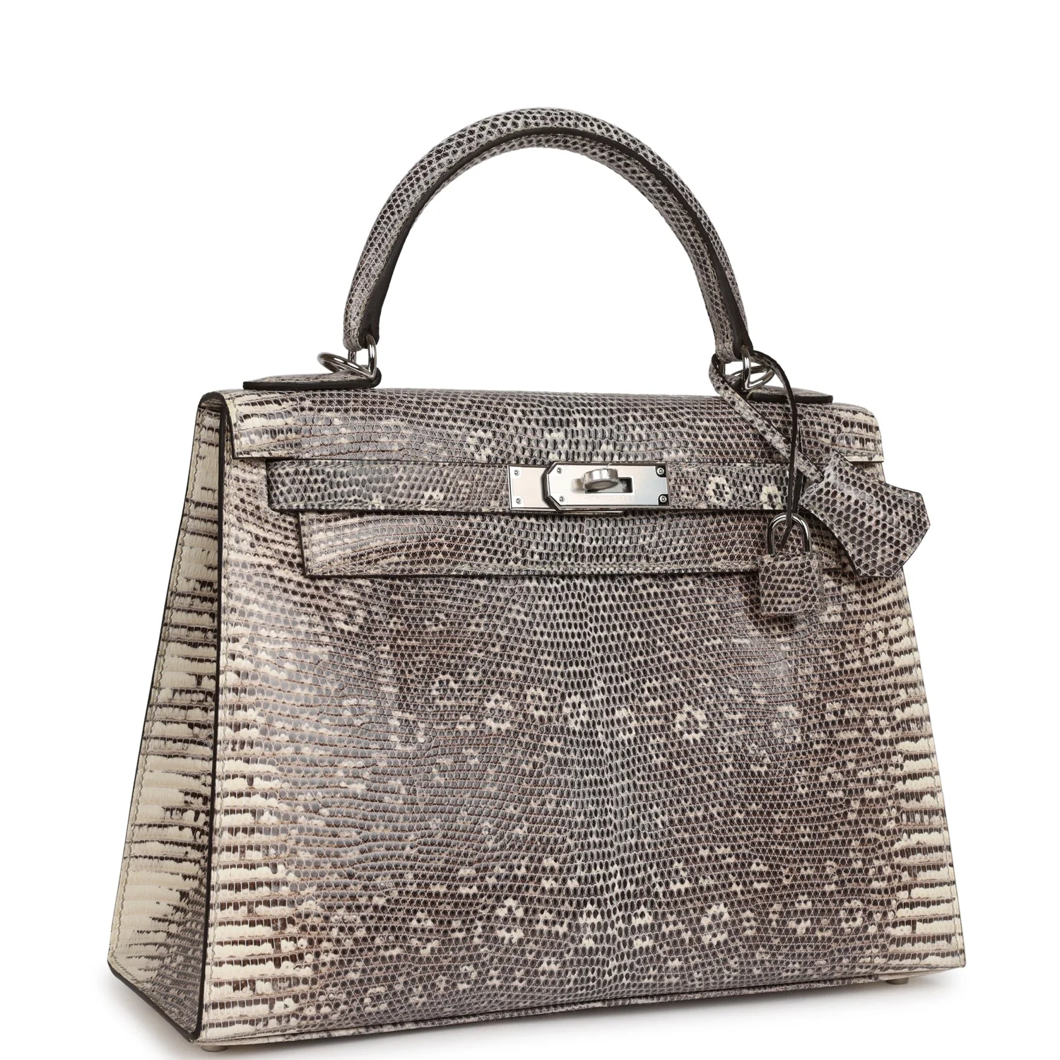 Her Kelly Sellier 28 Ombre Veranus Salvator Lizard Palladium Hardware