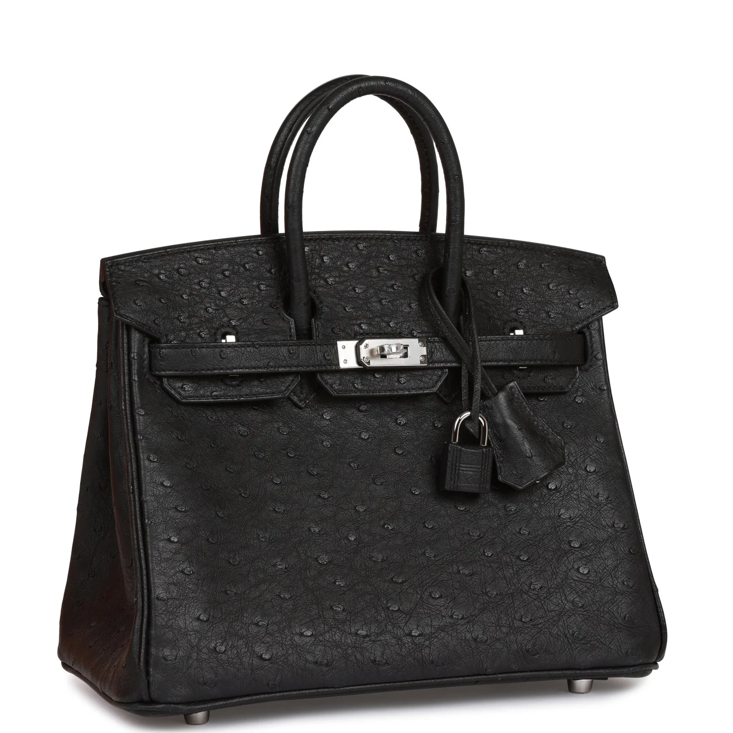 Her Birkin 25 Black Ostrich Palladium Hardware