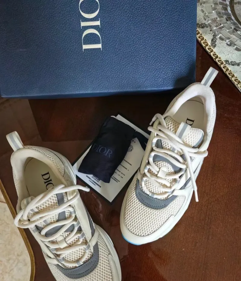 Dior B22 White Silver