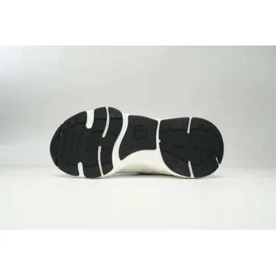 Dior B22 White Silver